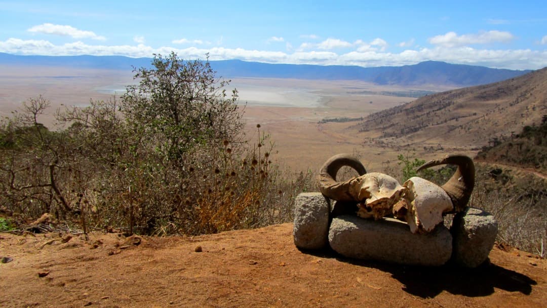Area di Conservazione del Ngorongoro