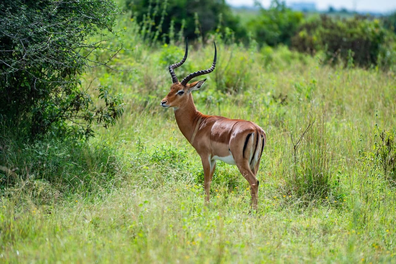 Parco nazionale di Malka Mari