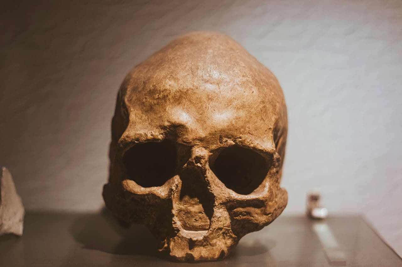 Sito archeologico di Koobi Fora